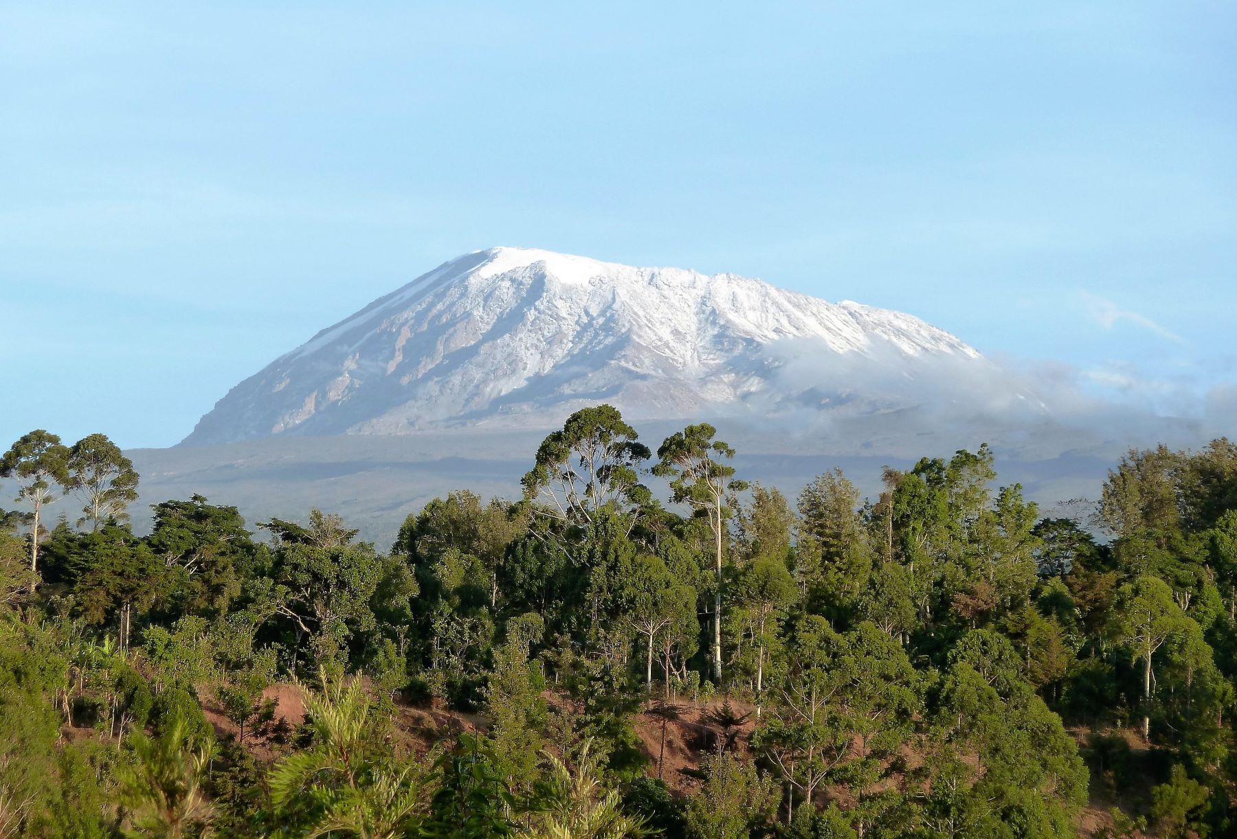 Scenic Mount Kilimanjaro