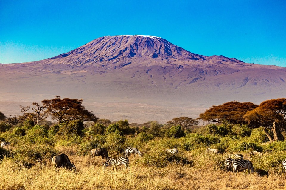 Kilimanjaro Amboseli Nationalpark Kenia