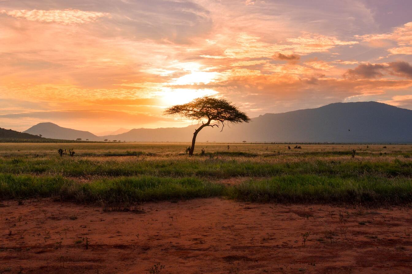 Tsavo Nationalpark Ansicht