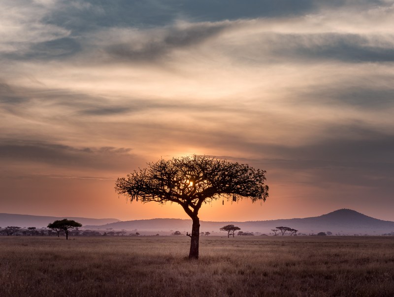 Sundown in Serengeti National Park